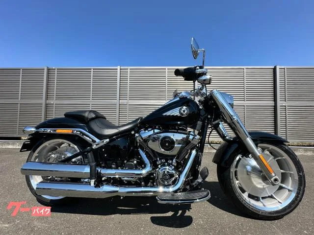 HARLEY-DAVIDSON FLFB 117 2026 — фото 1, купить с доставкой в Москву