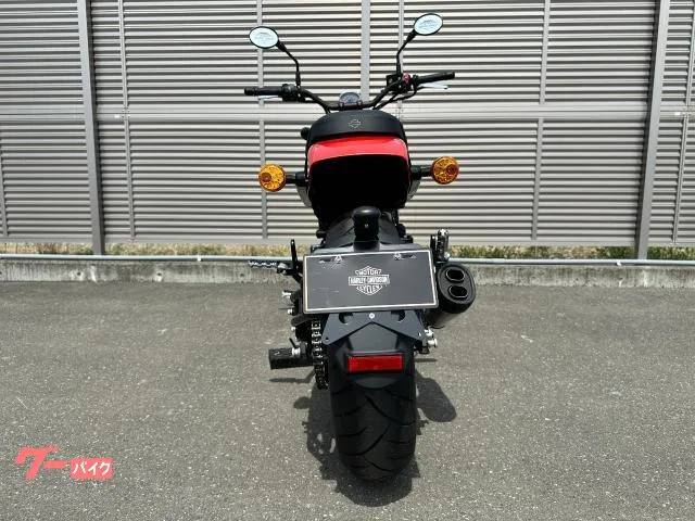 HARLEY-DAVIDSON X500 500 2024 — миниатюра 4
