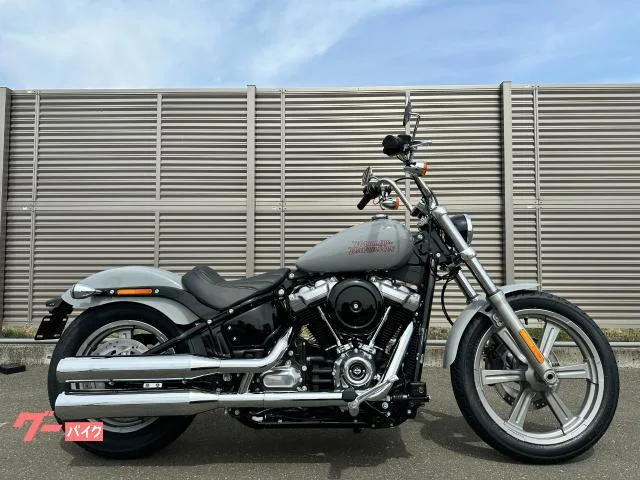 HARLEY-DAVIDSON FXST 2024 — фото 1, купить с доставкой в Москву