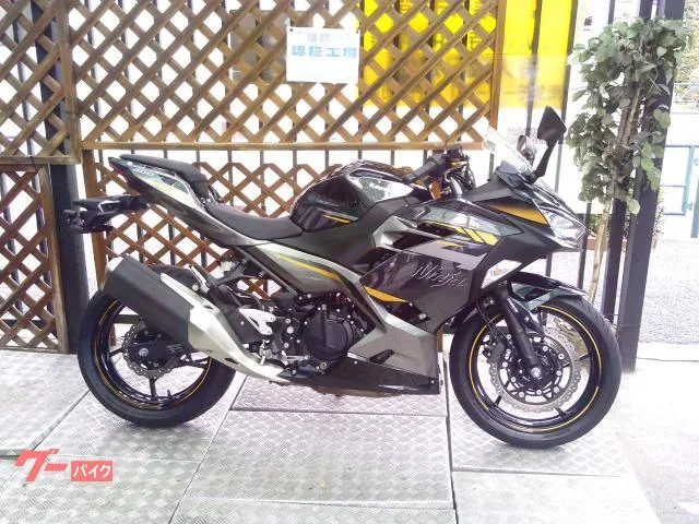 Kawasaki Ninja 400 ABS 2022 — миниатюра 2
