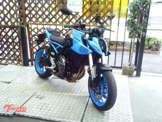 Suzuki GSX-8S ETC LED 2023 — фото 1, купить с доставкой в Москву