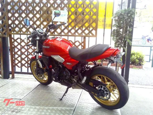 Kawasaki Z650RS ETC2.0 2024 — миниатюра 3