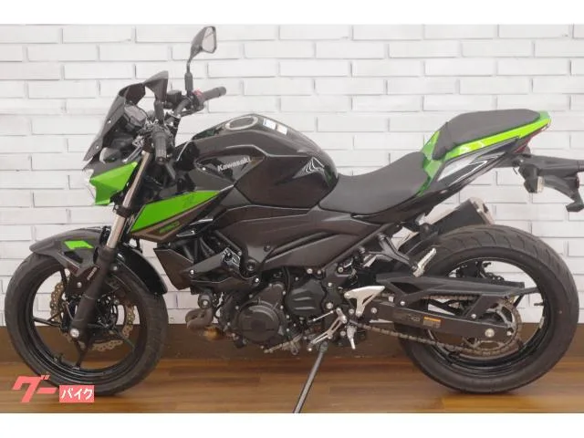 Kawasaki Z250 2023 — миниатюра 3