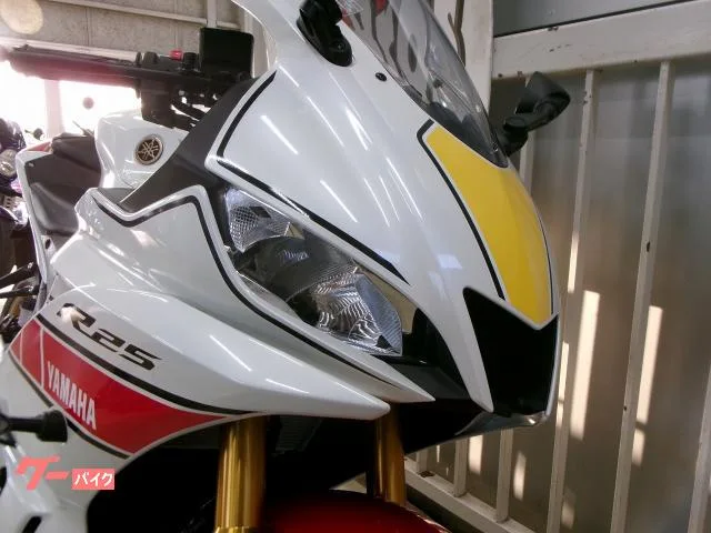Yamaha YZF-R25 60 ETC 2022 — миниатюра 3