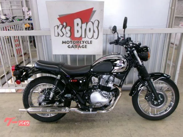 Kawasaki S1 ETC 2025 — фото 1, купить с доставкой в Москву