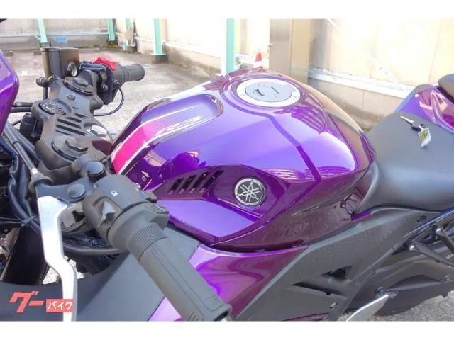 Yamaha YZF-R3 2024 — миниатюра 3