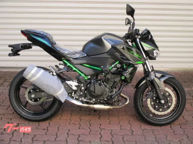 Kawasaki Z250 2024 2024 — миниатюра 2