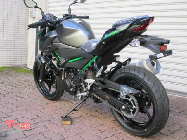 Kawasaki Z250 2024 2024 — миниатюра 3