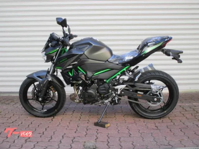Kawasaki Z250 2024 2024 — миниатюра 5