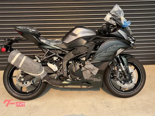 Kawasaki Ninja ZX-4R SE 2025 2025 — миниатюра 2