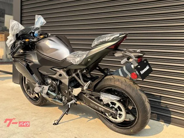 Kawasaki Ninja ZX-4R SE 2025 2025 — миниатюра 3
