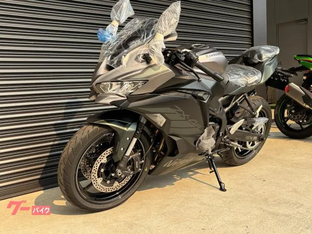 Kawasaki Ninja ZX-4R SE 2025 2025 — миниатюра 4