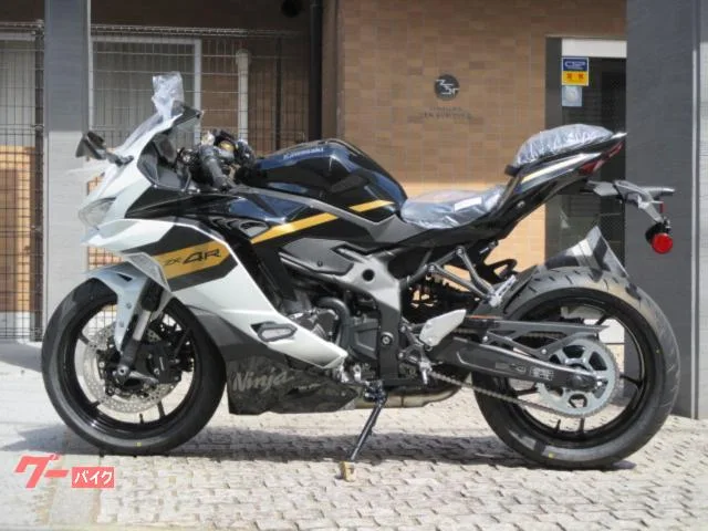 Kawasaki Ninja ZX-4R SE 2026 2026 — миниатюра 2