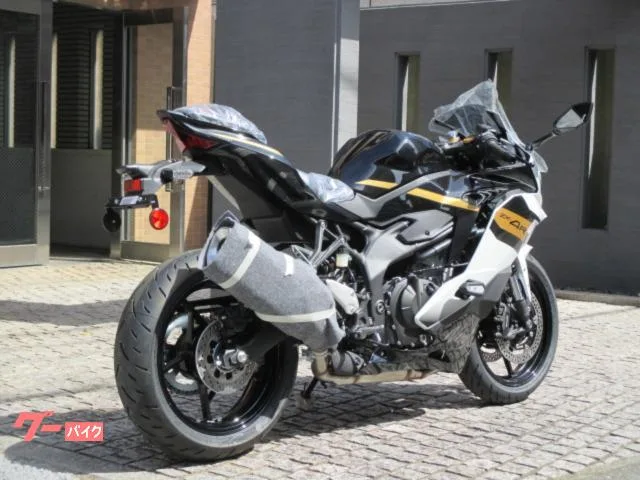 Kawasaki Ninja ZX-4R SE 2026 2026 — миниатюра 3