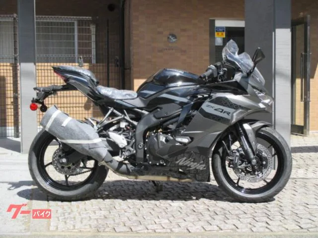 Kawasaki Ninja ZX-4R SE 2026 2026 — миниатюра 2