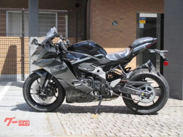 Kawasaki Ninja ZX-4R SE 2026 2026 — миниатюра 5