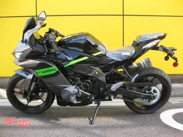 Kawasaki Ninja ZX-25R SE 2026 2026 — миниатюра 3