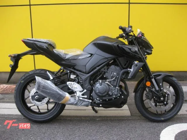 Yamaha MT-25 2026 — фото 1, купить с доставкой в Москву
