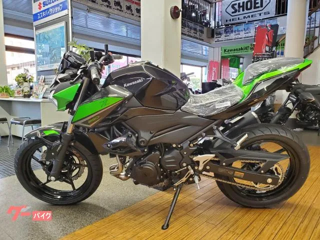 Kawasaki Z250 2023 2 2023 — миниатюра 2
