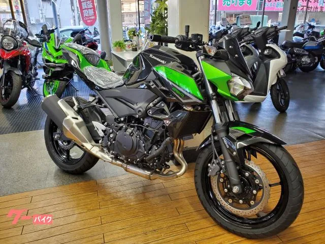Kawasaki Z250 2023 2 2023 — миниатюра 3