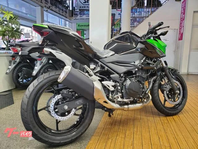 Kawasaki Z250 2023 2 2023 — миниатюра 4