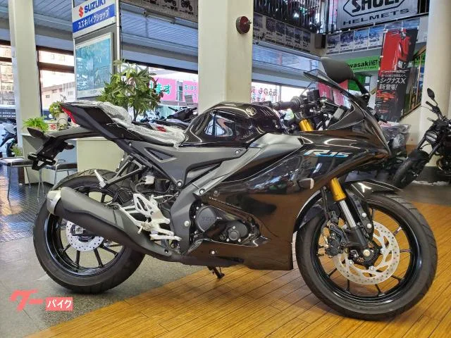 Yamaha YZF-R15 2023 2 2023 — миниатюра 5