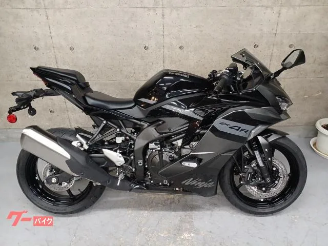 Kawasaki Ninja ZX-4R SE 2026 — миниатюра 2