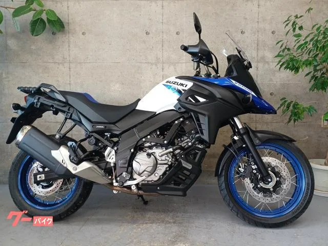 Suzuki V- 650XT 2025 — фото 1, купить с доставкой в Москву