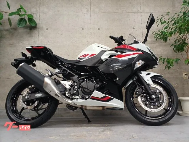 Kawasaki Ninja 400 2026 — миниатюра 3