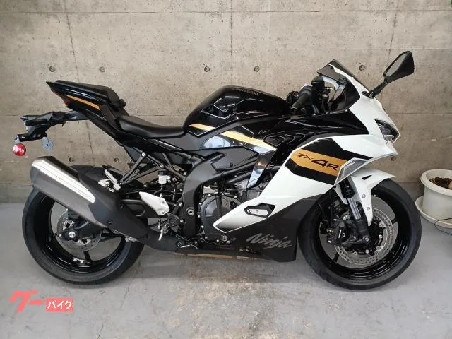Kawasaki Ninja ZX-4R SE 2026 — миниатюра 2