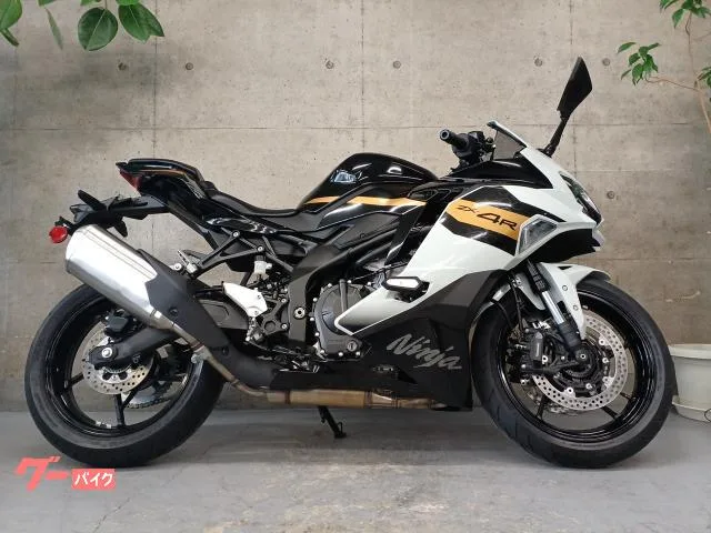 Kawasaki Ninja ZX-4R SE 2026 — миниатюра 3