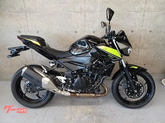 Kawasaki Z250 2022 — миниатюра 2