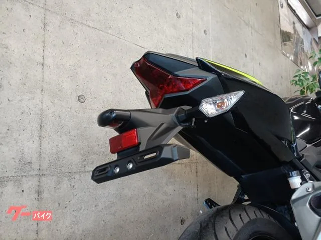 Kawasaki Z250 2022 — миниатюра 3