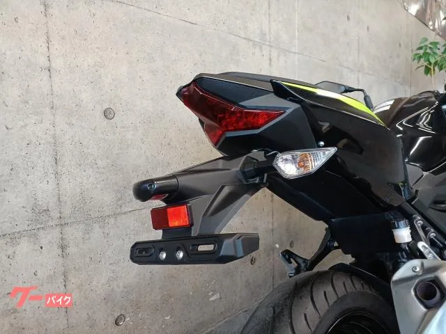 Kawasaki Z250 2022 — миниатюра 4