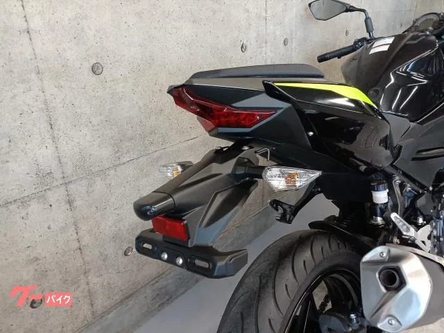 Kawasaki Z250 2022 — миниатюра 5