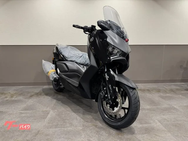 Yamaha X-MAX250 2025 — фото 1, купить с доставкой в Москву