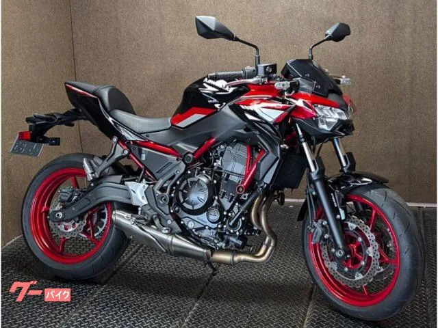 Kawasaki Z650 ETC 2024 — миниатюра 2