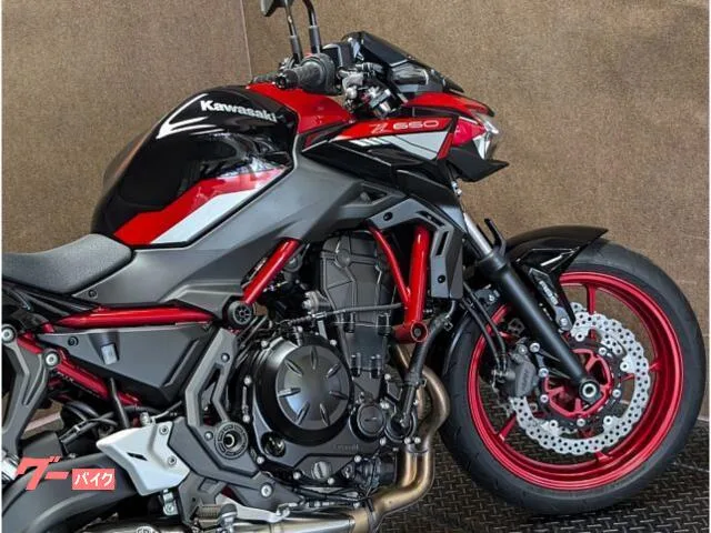 Kawasaki Z650 ETC 2024 — миниатюра 3