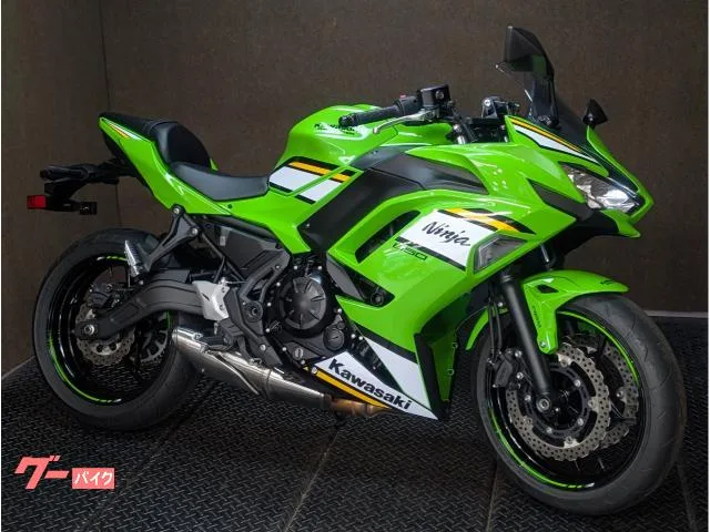 Kawasaki Ninja 650 ETC 2024 — миниатюра 2
