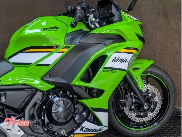 Kawasaki Ninja 650 ETC 2024 — миниатюра 4
