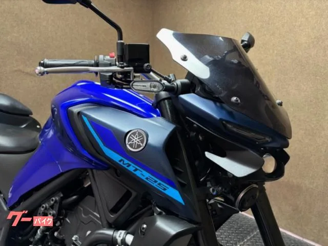 Yamaha MT-25 2023 — миниатюра 2