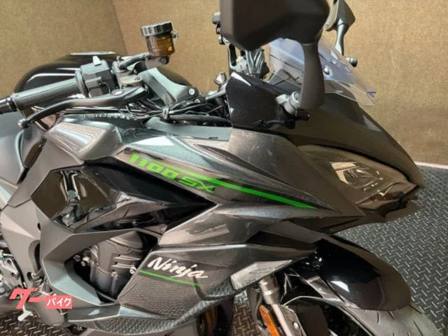 Kawasaki Ninja 1100 SX ETC USB 2025 — миниатюра 2