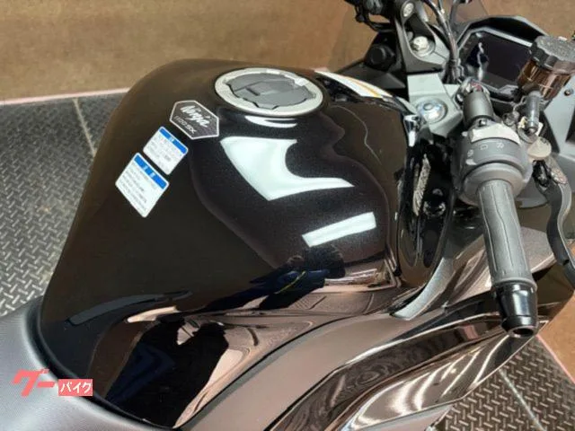 Kawasaki Ninja 1100 SX ETC USB 2025 — миниатюра 3