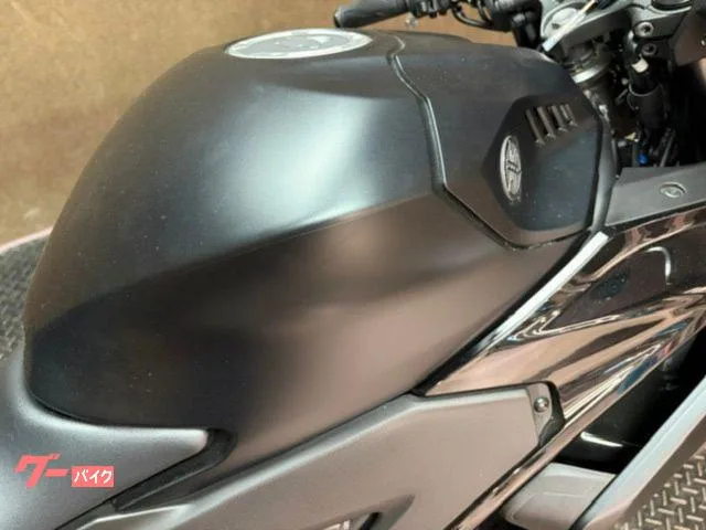 Yamaha YZF-R3 2025 — миниатюра 2
