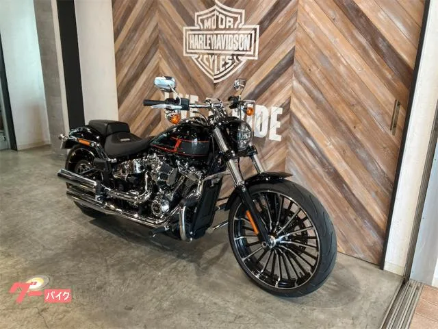 HARLEY-DAVIDSON FXBR 2024 — миниатюра 2
