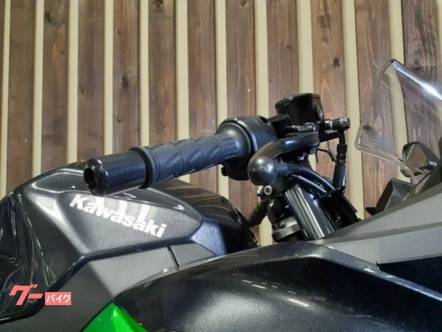 Kawasaki Ninja 250 USB 2023 — миниатюра 3