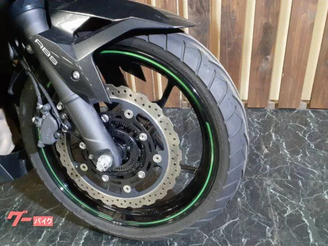 Kawasaki Ninja 250 USB 2023 — миниатюра 4