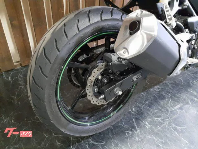 Kawasaki Ninja 250 USB 2023 — миниатюра 5