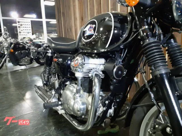Kawasaki K3 USB 2024 — миниатюра 2