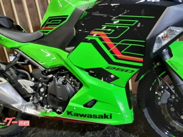 Kawasaki Ninja 250 ETC USB 2023 — миниатюра 2
